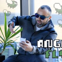 angry-fly-graphics (1)