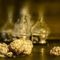 Thracian Truffles Photography (11)