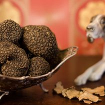 Thracian Truffles Photography (12)