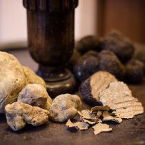 Thracian Truffles Photography (13)