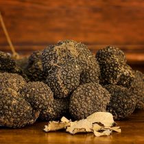 Thracian Truffles Photography (14)