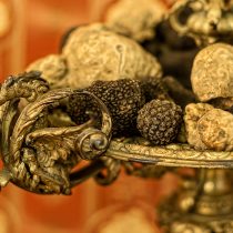 Thracian Truffles Photography (15)