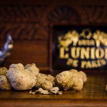 Thracian Truffles Photography (16)