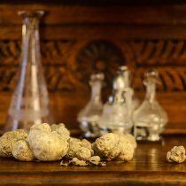 Thracian Truffles Photography (4)