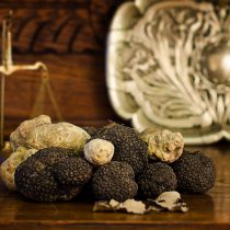 Thracian Truffles Photography (5)