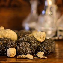 Thracian Truffles Photography (7)