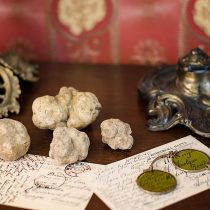 Thracian Truffles Photography (8)