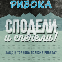 riboka varna posts (1)