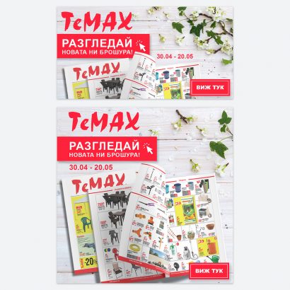 temax-2 copy 2