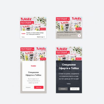 temax copy (1)